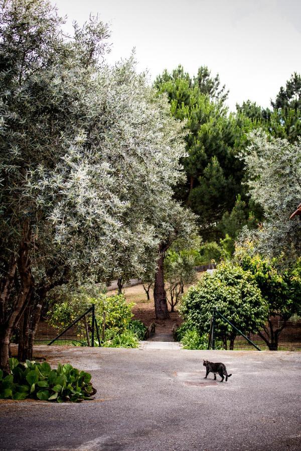 Casa Jone Βίλα Tomar Εξωτερικό φωτογραφία